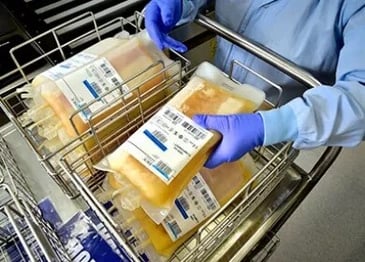 plasma bags being sorted in baskets to go into a ffp freezer for storage